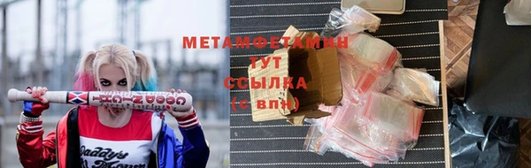 сатива Арсеньев