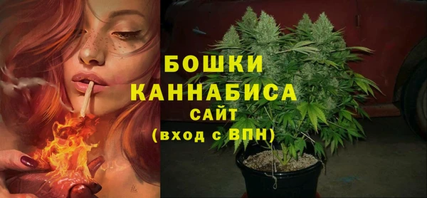 спайс Покачи