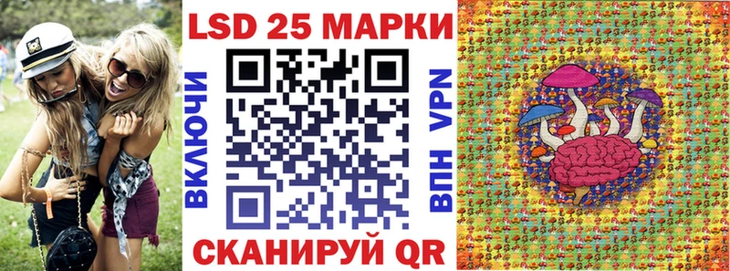 блэк спрут вход  Новоуральск  маркетплейс состав  Наркотические марки 1,8мг 