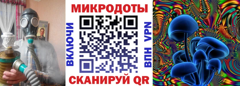 Галлюциногенные грибы Psilocybine cubensis  мега ссылка  Новоуральск  купить закладку 